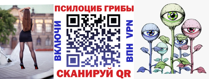 Галлюциногенные грибы GOLDEN TEACHER  blacksprut ссылки  Грайворон  цена наркотик 