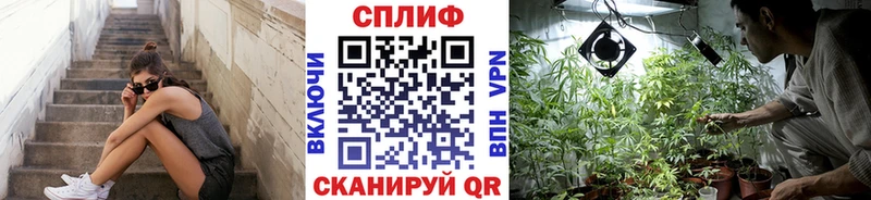 Бошки марихуана SATIVA & INDICA  Грайворон 